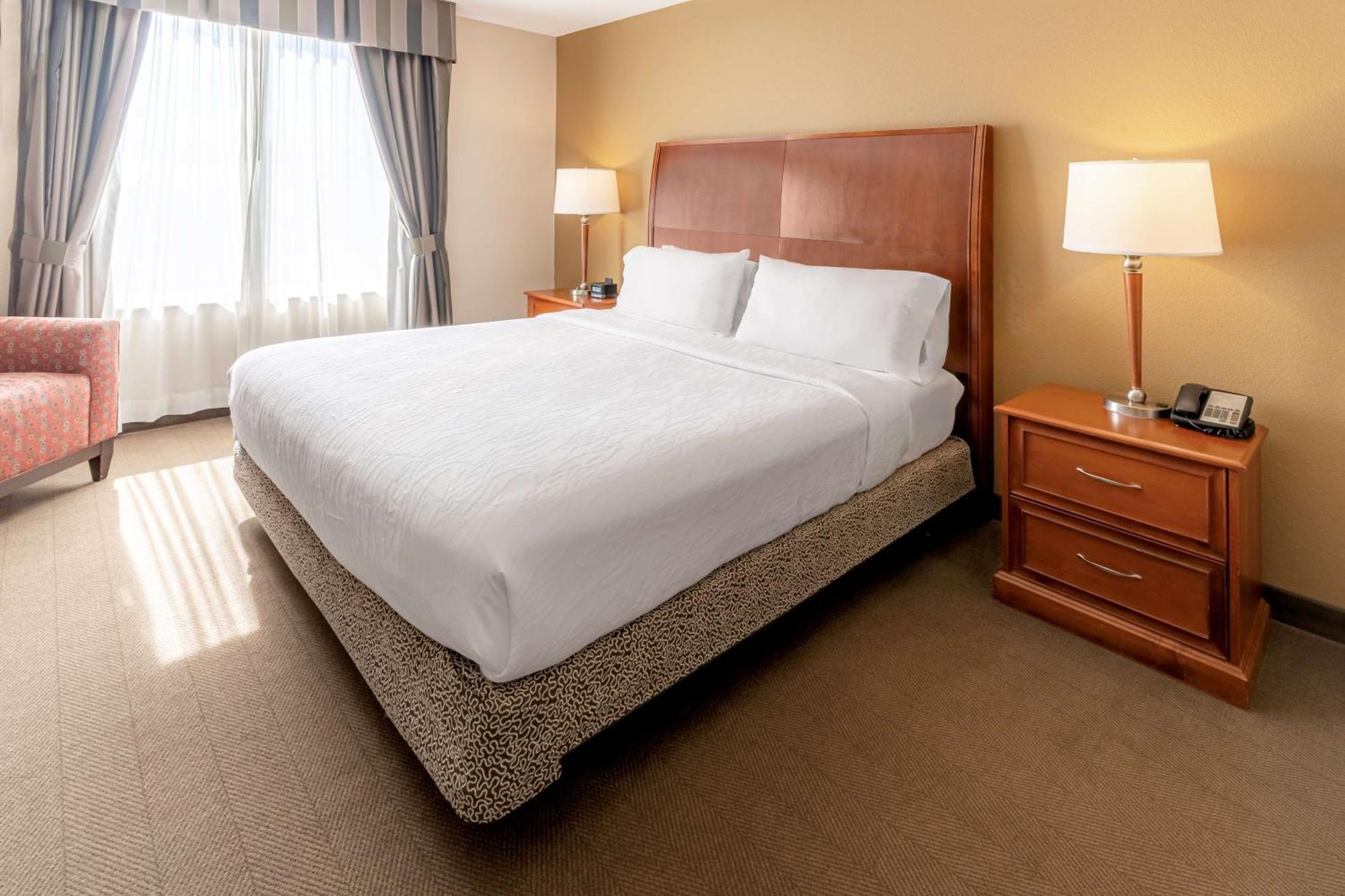 Hilton Garden Inn Houston/Удландс Екстериор снимка